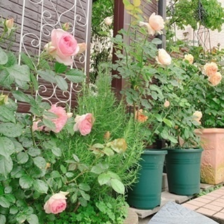 6C56DB56-4BDC-489E-8F1F-7F98FEA7AF7B.jpeg