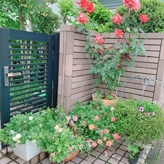 8AE3598E-651C-4D56-BD66-DE4B122D79D8.jpeg