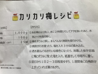 9DC8367A-8178-4AEC-823B-442180AABCE0.jpeg