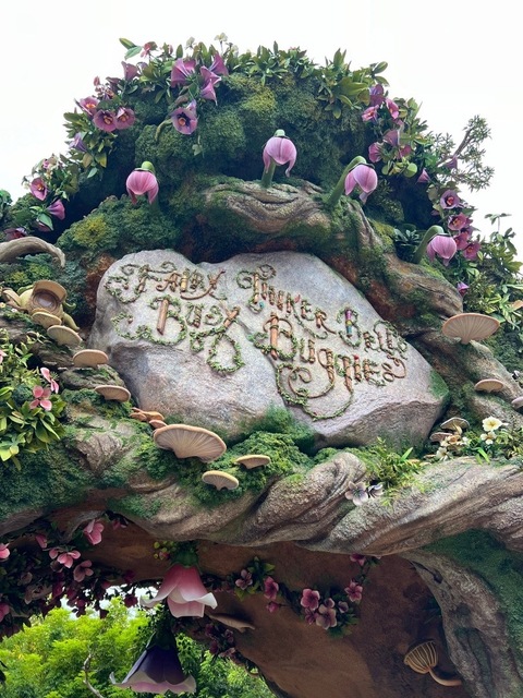 IMG_7194.jpeg